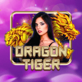 nustar apk live casino Dragon Tiger